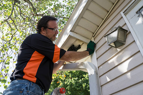 Best Hoarding Cleanup  in Prophetstown, IL
